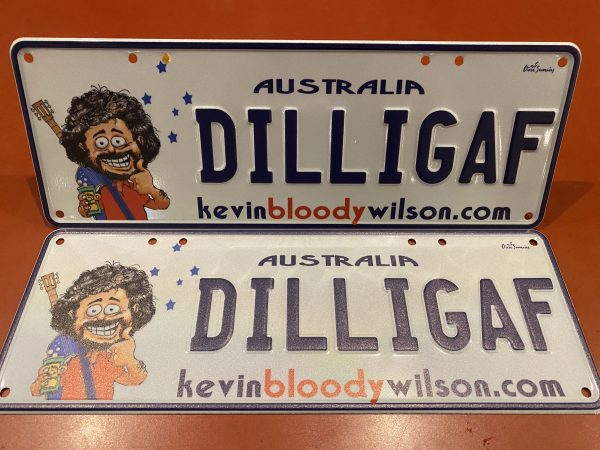 DILLIGAF Number Plates – White / Navy - Image 3
