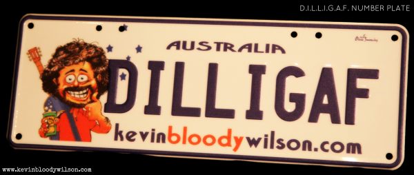 DILLIGAF Number Plates – White / Navy - Image 5